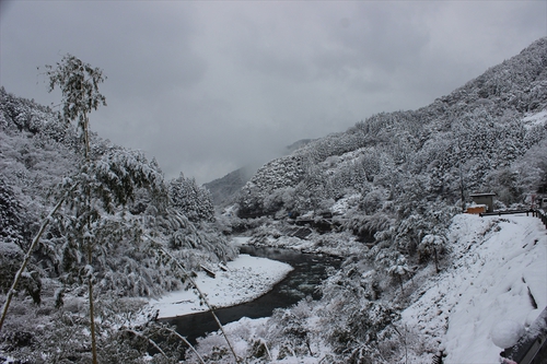 196主催の新年会（雪国～snow peak高知）