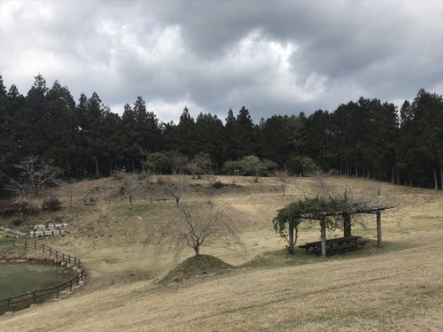 「星ケ窪キャンプ場」施設情報