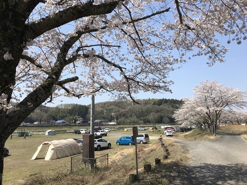 香川県内の「野営地」が減少している件