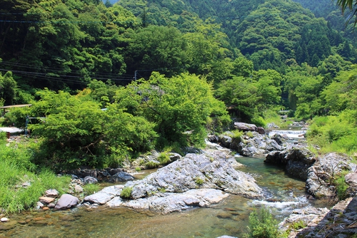 伊予でホタルキャンプのはずですが・・・