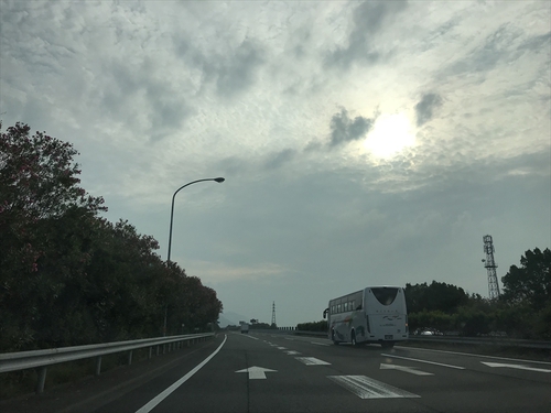 週末は川遊びでした