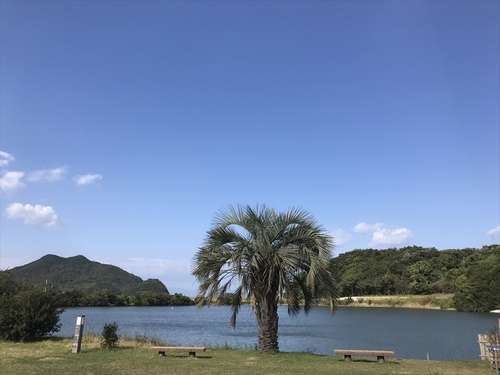 ファミキャンで賑わう大池でソロキャン