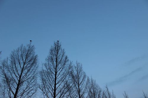 2014グル納め