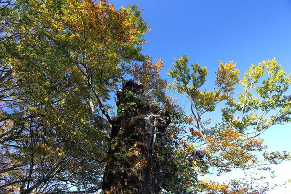 石鎚秋キャンプ（2日目）