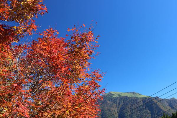 石鎚秋キャンプ（2日目）