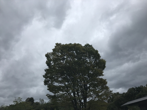 第3回「OUTDOOR PARK in 讃岐まんのう公園」（前編）