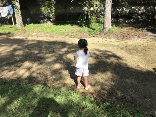ぼくの夏休み2019（中編）