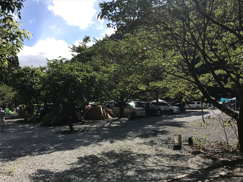 ぼくの夏休み2019（中編）