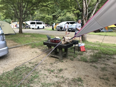 ぼくの夏休み2019（中編）