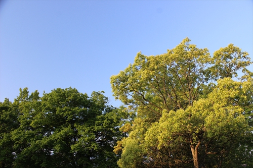 第3回 SHIKOKU キャンホリ in 国営讃岐まんのう公園（前編）