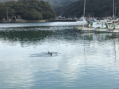 snow peak キャンプフィールド 土佐清水から越知へ（後編）