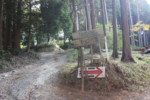 矢萩の森キャンプ場施設情報