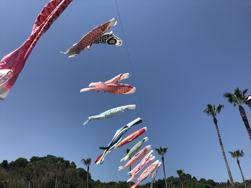 GW後半は「マリンパーク新居浜」