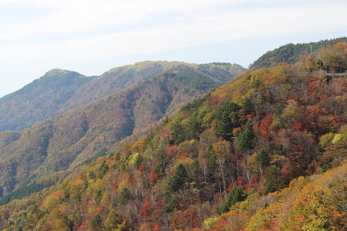 秋の剣山（紅葉編）