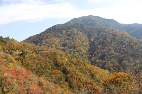 秋の剣山（紅葉編）