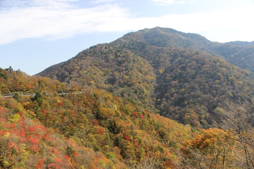 秋の剣山（紅葉編）