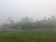 高原の朝は霧