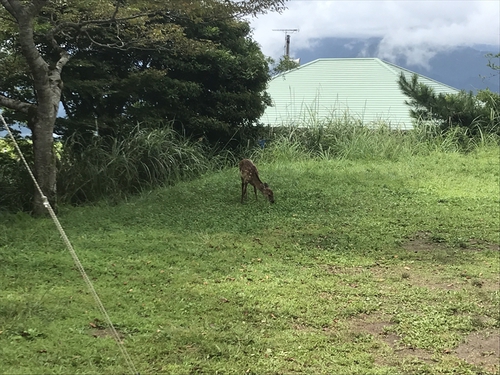 午後からは収録本番