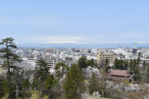 鶴ヶ城と三春の滝桜へ