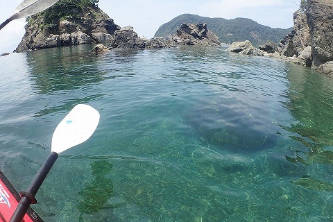 夏休みキャンプは福井で海遊び