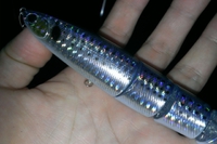 逃した魚はデカかった。　…イヤまじでわりと 2015/11/21 22:33:55