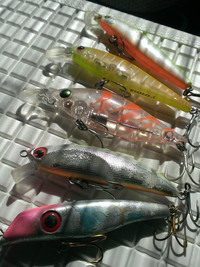 今日は・・・ 2014/10/18 07:00:00