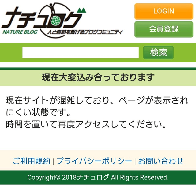 秋のシーバス祭りのはずが貧果終了