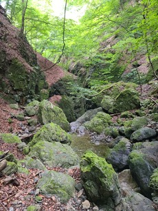 2023/09/20（水）