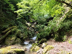 2022/06/29（水）