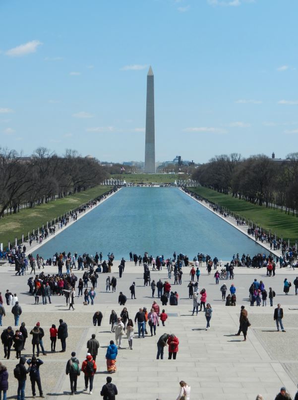 Washington,DCの桜が素晴らしい！