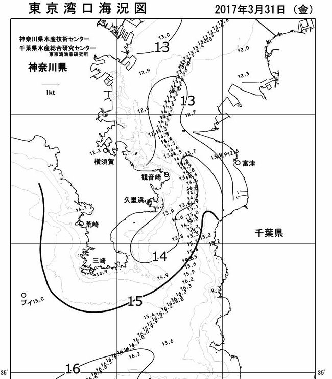 花冷え！
