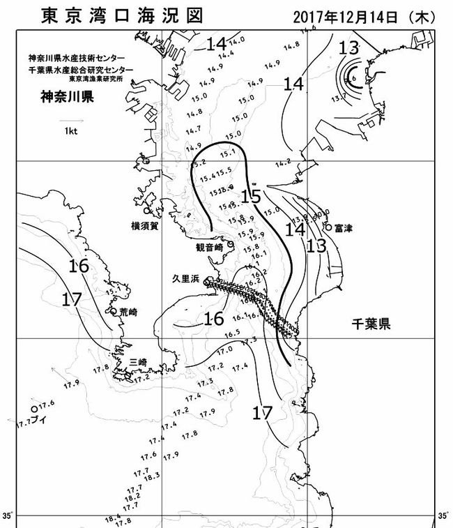 東京湾水温下がったなぁ！
