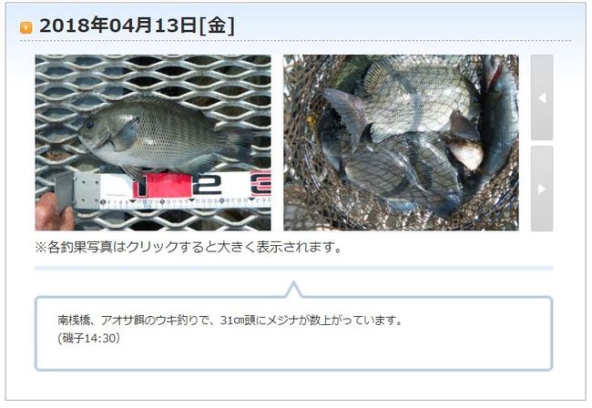 磯子完全開幕！