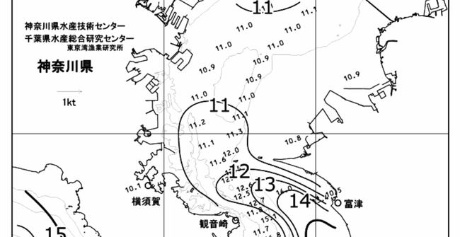磯子水温13℃！もうすぐ春ですねぇ！