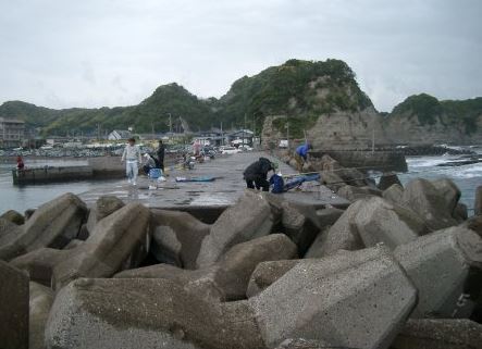 勝浦市「浜行川港」　｢興津東港」