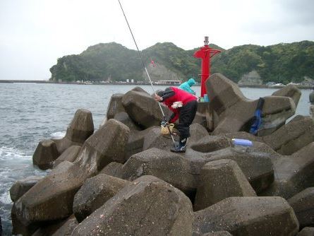 勝浦市「浜行川港」　｢興津東港」