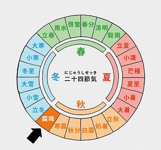 今日は霜降！