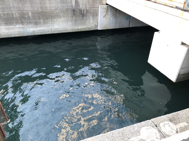 赤潮定点観測！釣り納め！その2！