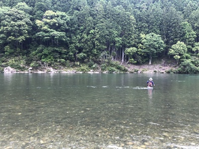 熊野灘ブルーフィンのジギング…熊野川のサツキマス。