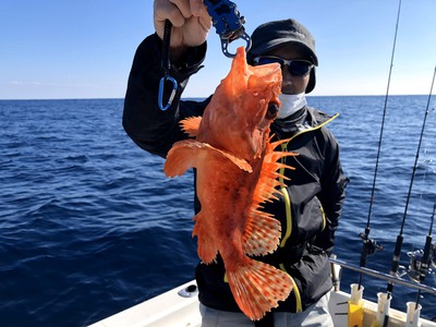 熊野灘ブルーフィンのジギング…初物のアヤメカサゴ、ホウキハタ、イトヨリダイ。