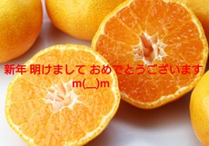 m(__)m新年のご挨拶なぅm(__)m 2017/01/04 19:04:22