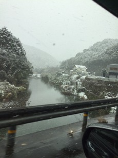 極寒の週末は・・・（  ＴДＴ） 2017/01/16 16:48:58