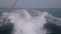 凹んだ一週間(；一_一) 2015/06/19 17:45:50