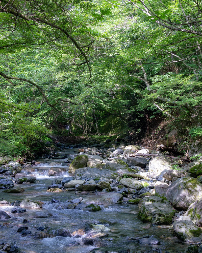 混雑必至！お盆にノーアポ・ヒーリング父子キャンプ 〜山伏オートキャンプ場