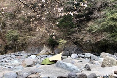 中洲でのんびりソロキャンプ〜 2019/03/30 17:30:39