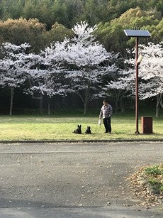 自己紹介
