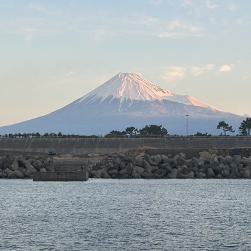 イワシの泳がせ釣り　2/10