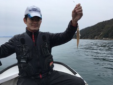 2017年を振り返る