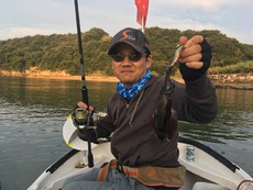 2017年を振り返る