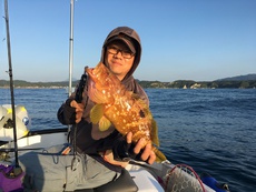 2017年を振り返る